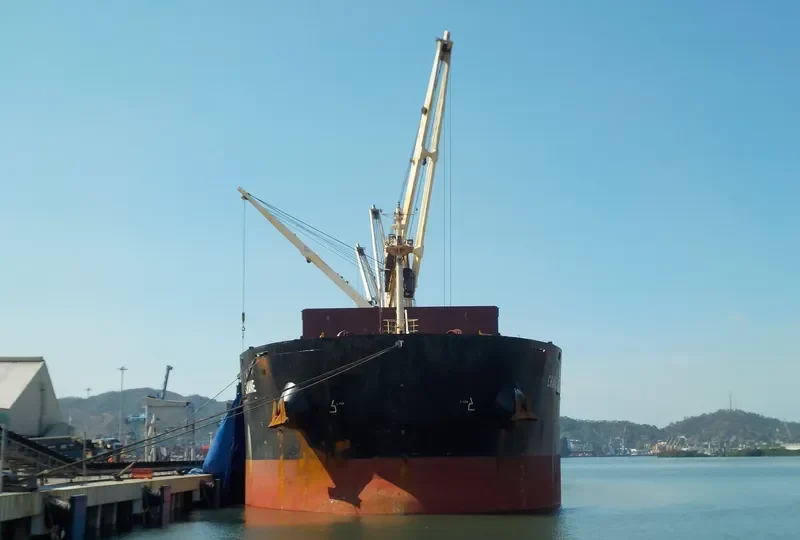 CRANE Bulk Carrier IMO 9441283 photo 4