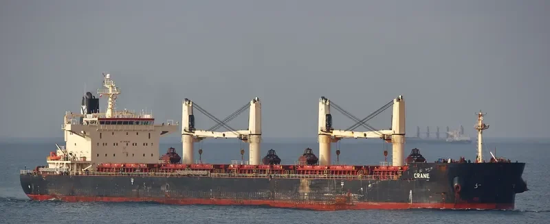 CRANE Bulk Carrier IMO 9441283 photo 6