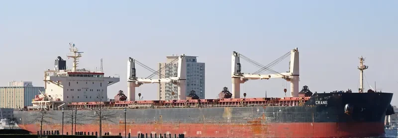 CRANE Bulk Carrier IMO 9441283 photo 7