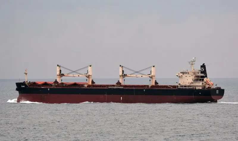 CRANE Bulk Carrier IMO 9441283 photo 8