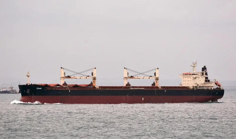 CRANE Bulk Carrier IMO 9441283 photo 9