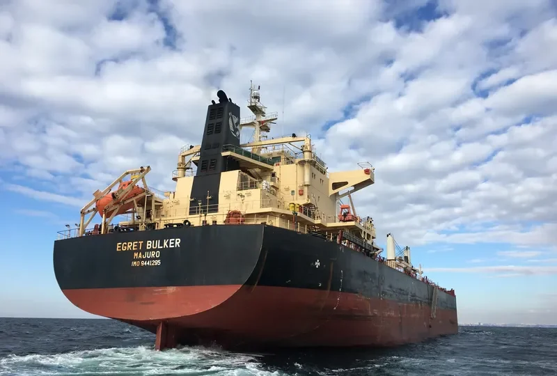 EGRET BULKER Bulk Carrier IMO 9441295
