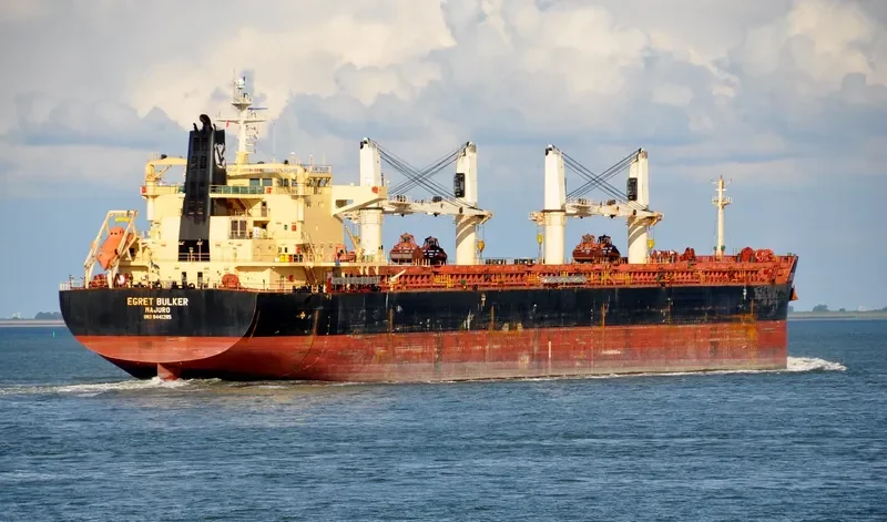 EGRET BULKER Bulk Carrier IMO 9441295 photo 2