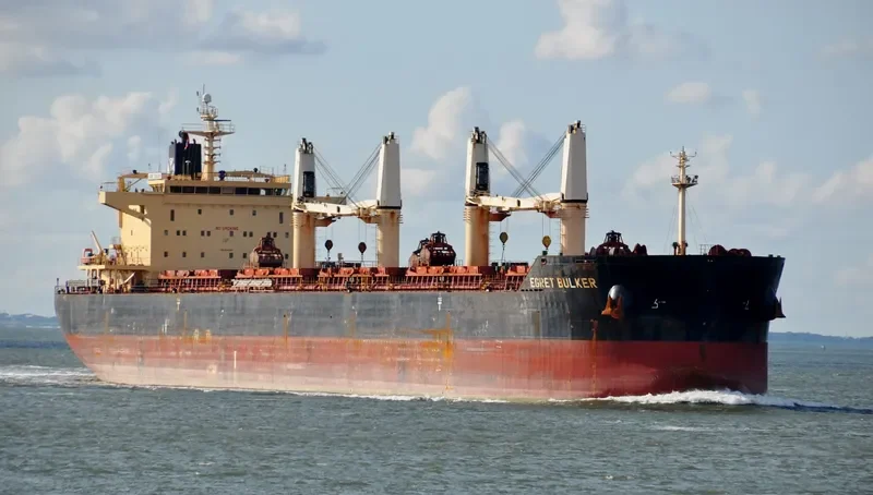 EGRET BULKER Bulk Carrier IMO 9441295 photo 3