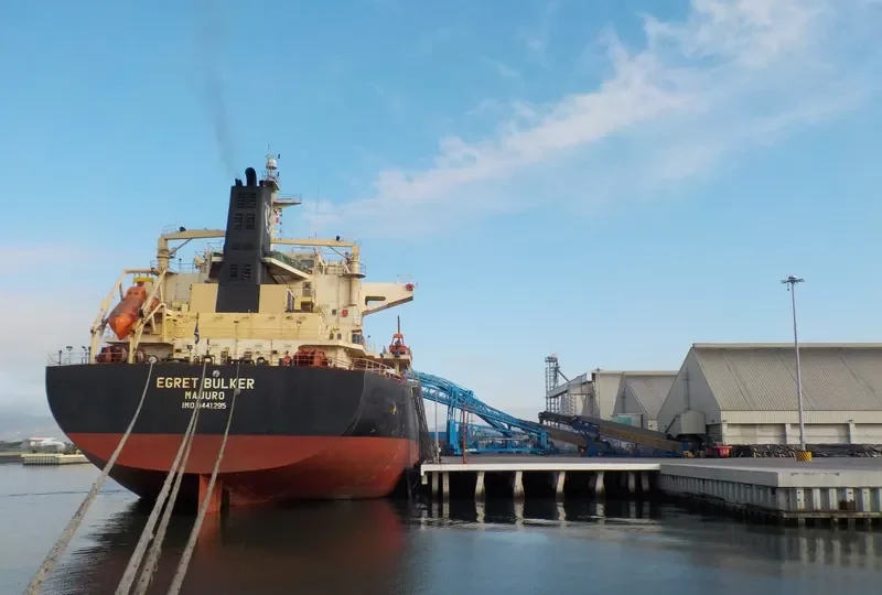 EGRET BULKER Bulk Carrier IMO 9441295 photo 4