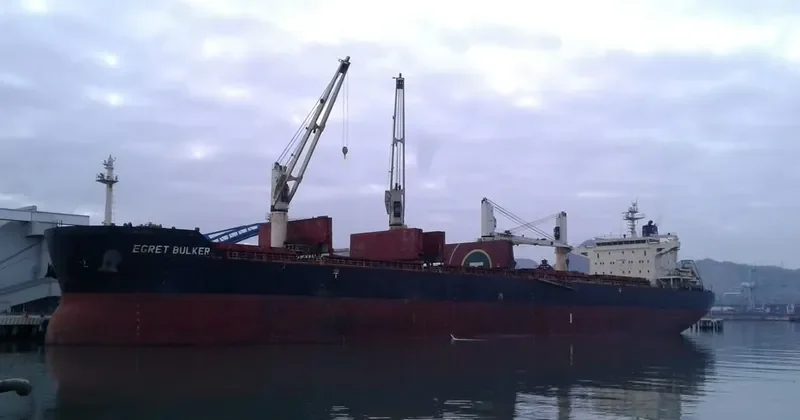 EGRET BULKER Bulk Carrier IMO 9441295 photo 5