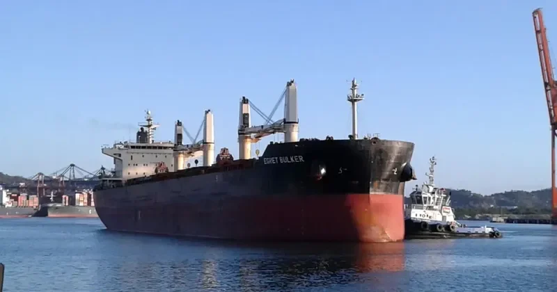 EGRET BULKER Bulk Carrier IMO 9441295 photo 6