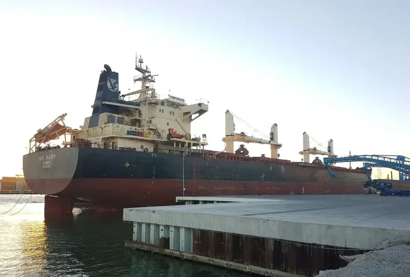 EGRET BULKER Bulk Carrier IMO 9441295 photo 7