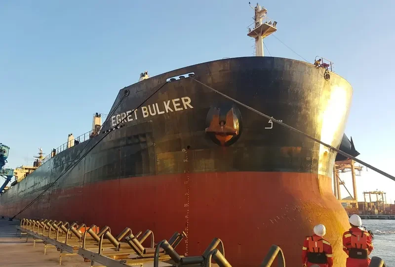 EGRET BULKER Bulk Carrier IMO 9441295 photo 8