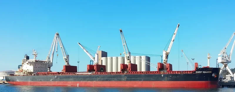 EGRET BULKER Bulk Carrier IMO 9441295 photo 9