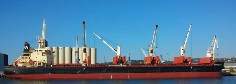 EGRET BULKER Bulk Carrier IMO 9441295 photo 10