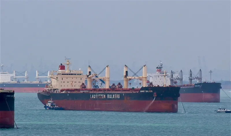 GANNET BULKER Bulk Carrier IMO 9441300 photo 8