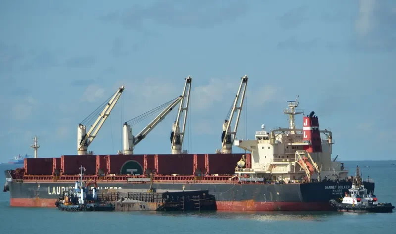 GANNET BULKER Bulk Carrier IMO 9441300 photo 9