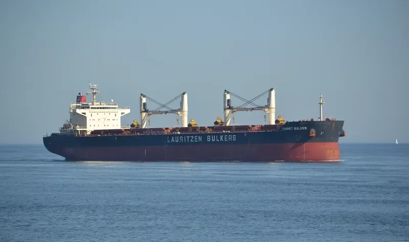 GANNET BULKER Bulk Carrier IMO 9441300 photo 10