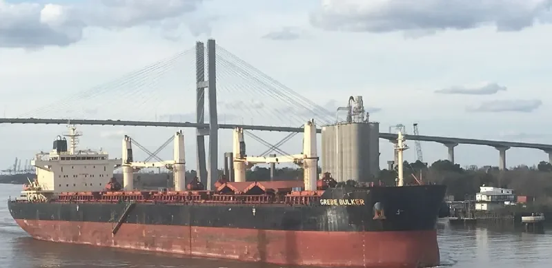 GREBE BULKER Bulk Carrier IMO 9441312 photo 3
