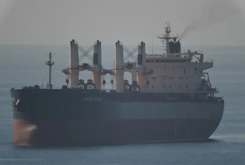 GREBE BULKER Bulk Carrier IMO 9441312 photo 6