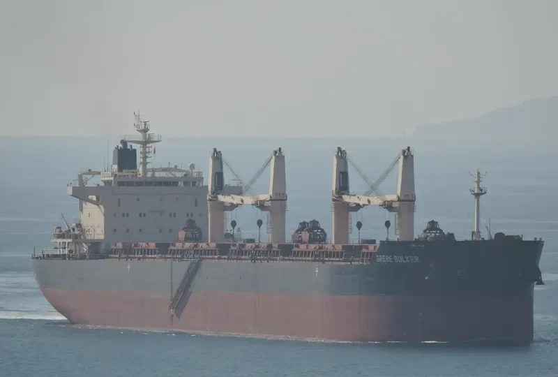 GREBE BULKER Bulk Carrier IMO 9441312 photo 7