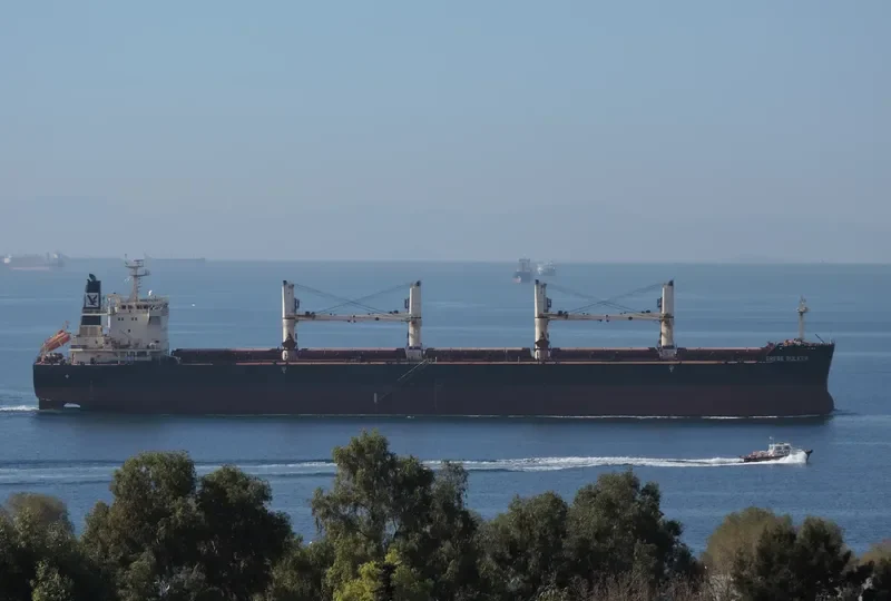 GREBE BULKER Bulk Carrier IMO 9441312 photo 8