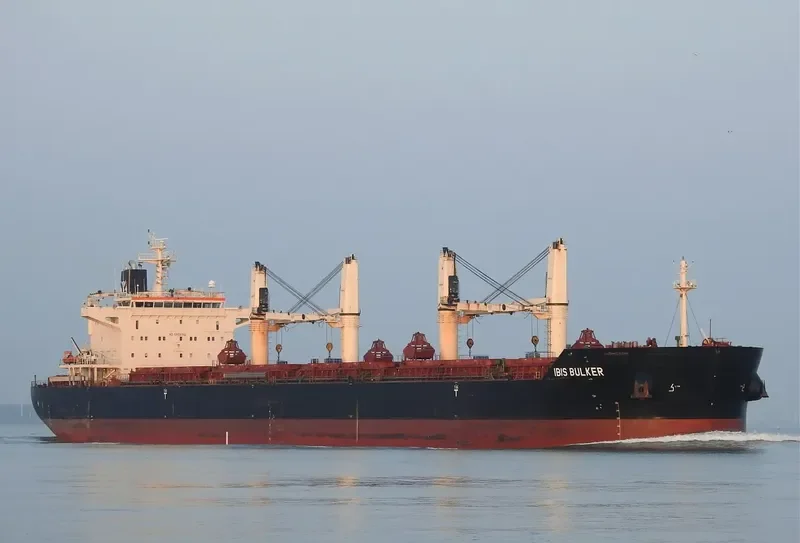 IBIS BULKER Bulk Carrier IMO 9441324