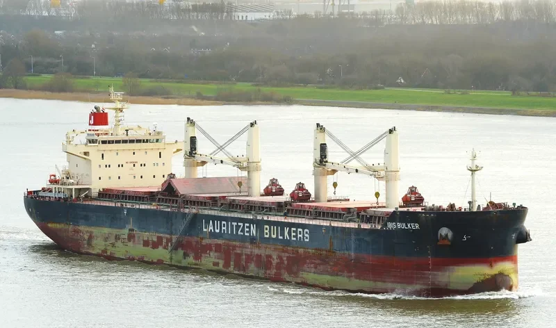 IBIS BULKER Bulk Carrier IMO 9441324 photo 3