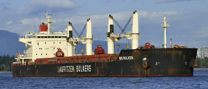 IBIS BULKER Bulk Carrier IMO 9441324 photo 4