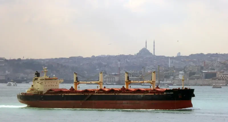IBIS BULKER Bulk Carrier IMO 9441324 photo 5