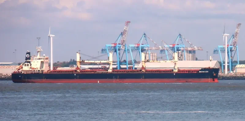 IBIS BULKER Bulk Carrier IMO 9441324 photo 6