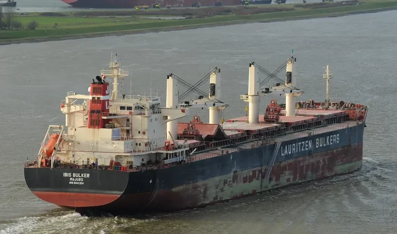 IBIS BULKER Bulk Carrier IMO 9441324 photo 7