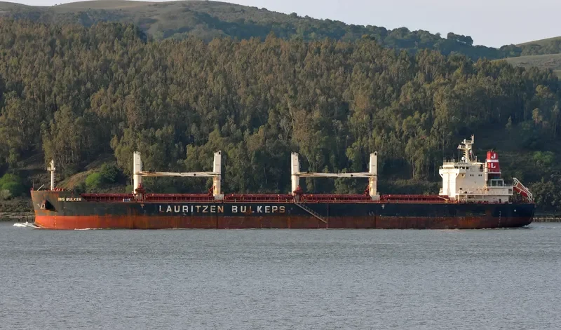 IBIS BULKER Bulk Carrier IMO 9441324 photo 8