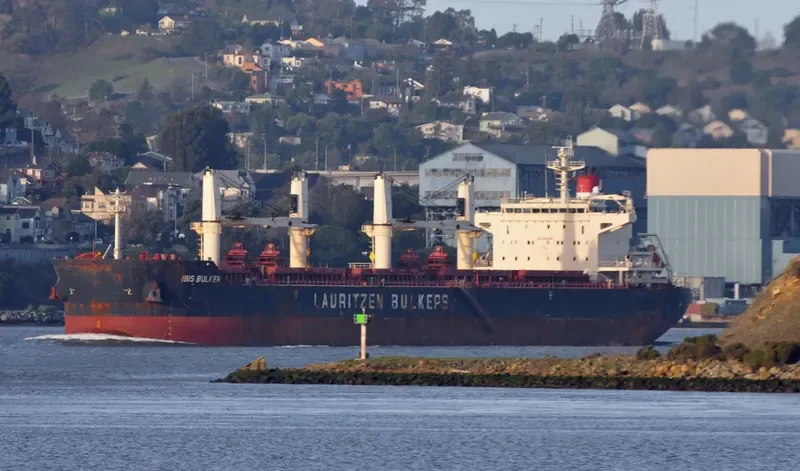 IBIS BULKER Bulk Carrier IMO 9441324 photo 9