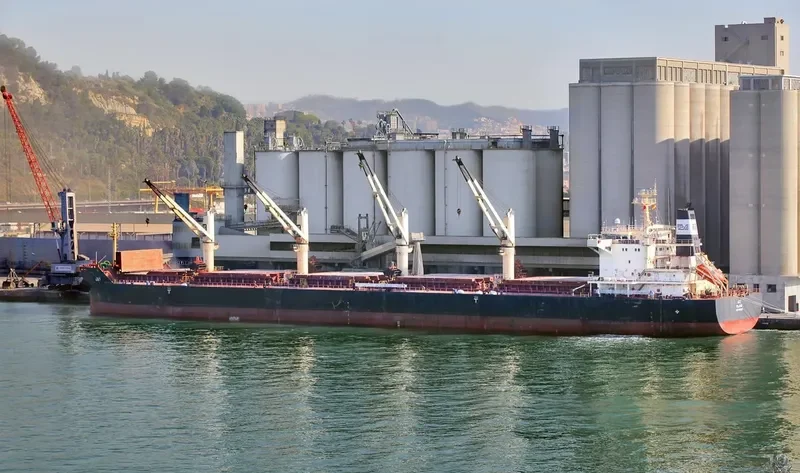 JAY Bulk Carrier IMO 9441336 photo 7