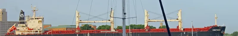KINGFISHER Bulk Carrier IMO 9441348 photo 2