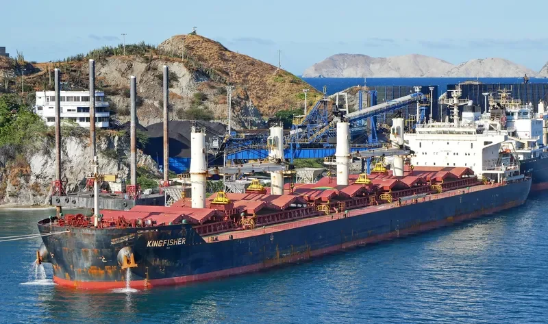 KINGFISHER Bulk Carrier IMO 9441348 photo 3