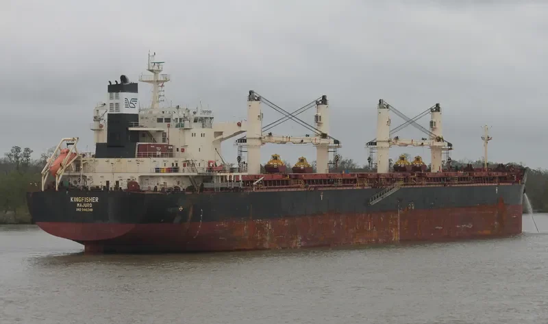 KINGFISHER Bulk Carrier IMO 9441348 photo 4