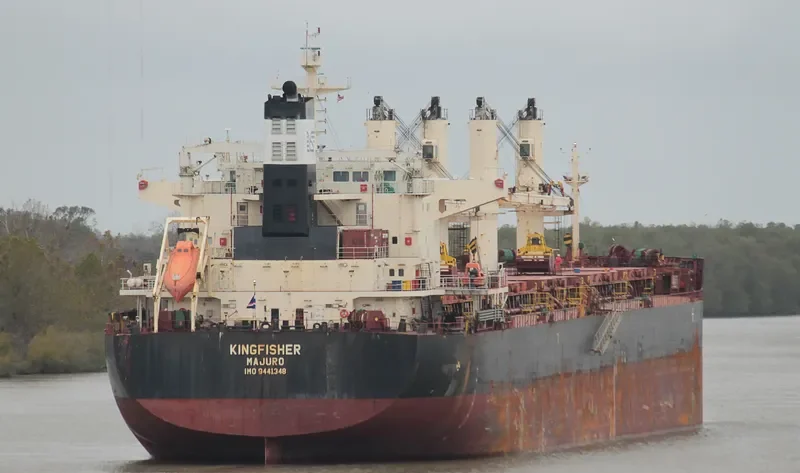 KINGFISHER Bulk Carrier IMO 9441348 photo 5