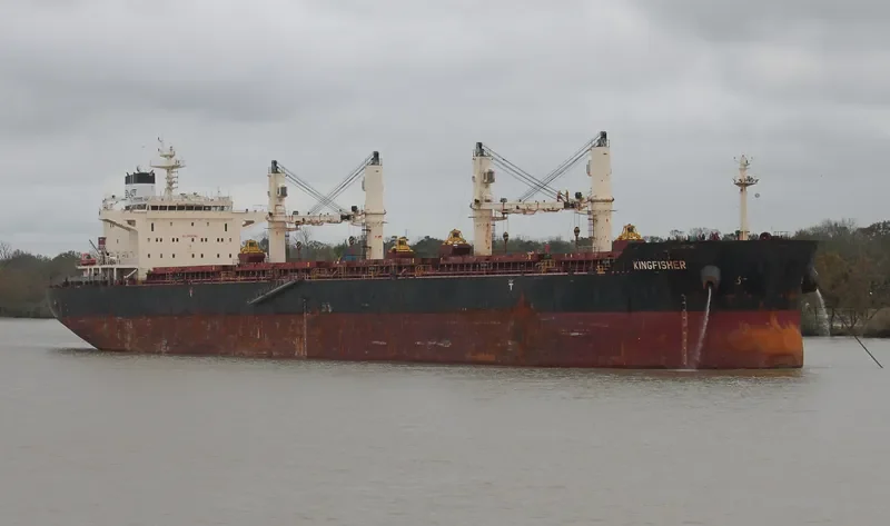 KINGFISHER Bulk Carrier IMO 9441348 photo 6