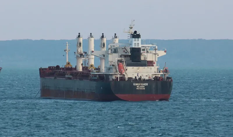 KINGFISHER Bulk Carrier IMO 9441348 photo 7