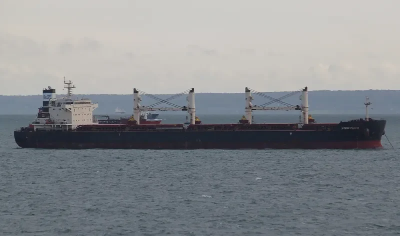 KINGFISHER Bulk Carrier IMO 9441348 photo 8
