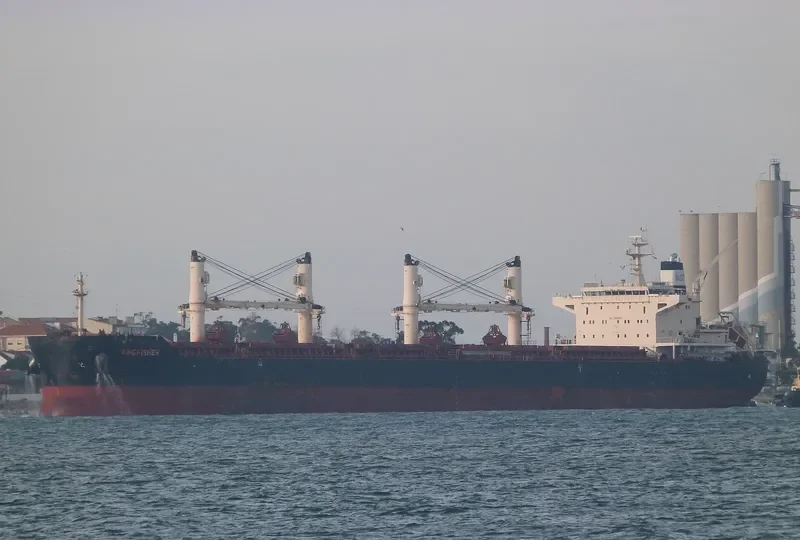 KINGFISHER Bulk Carrier IMO 9441348 photo 9