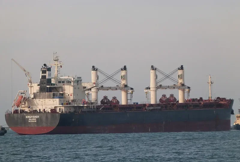 KINGFISHER Bulk Carrier IMO 9441348 photo 10