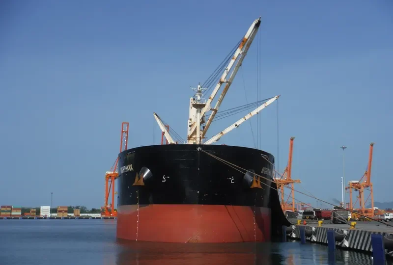NIGHTHAWK Bulk Carrier IMO 9441362