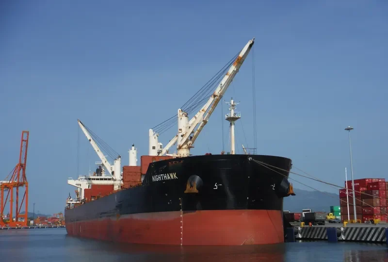 NIGHTHAWK Bulk Carrier IMO 9441362 photo 2