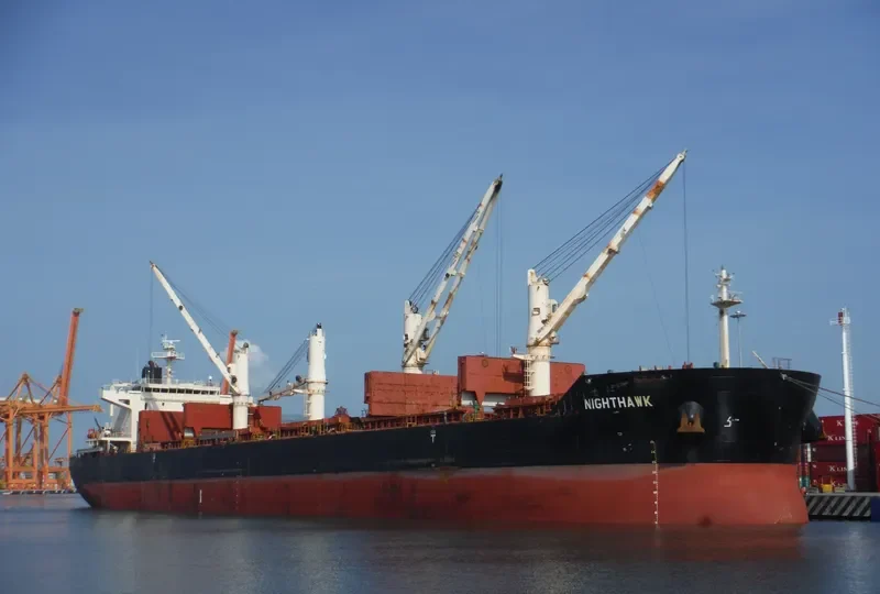 NIGHTHAWK Bulk Carrier IMO 9441362 photo 3