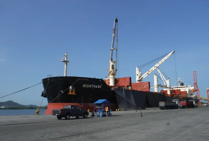 NIGHTHAWK Bulk Carrier IMO 9441362 photo 4