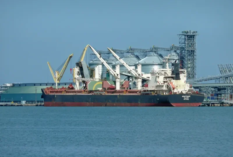 NIGHTHAWK Bulk Carrier IMO 9441362 photo 5
