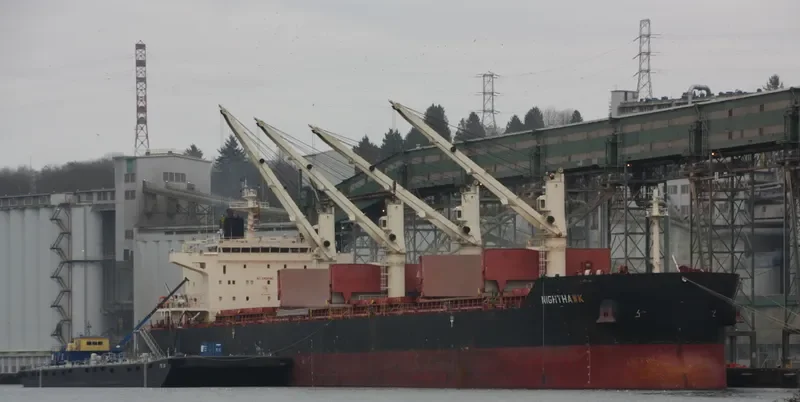 NIGHTHAWK Bulk Carrier IMO 9441362 photo 6