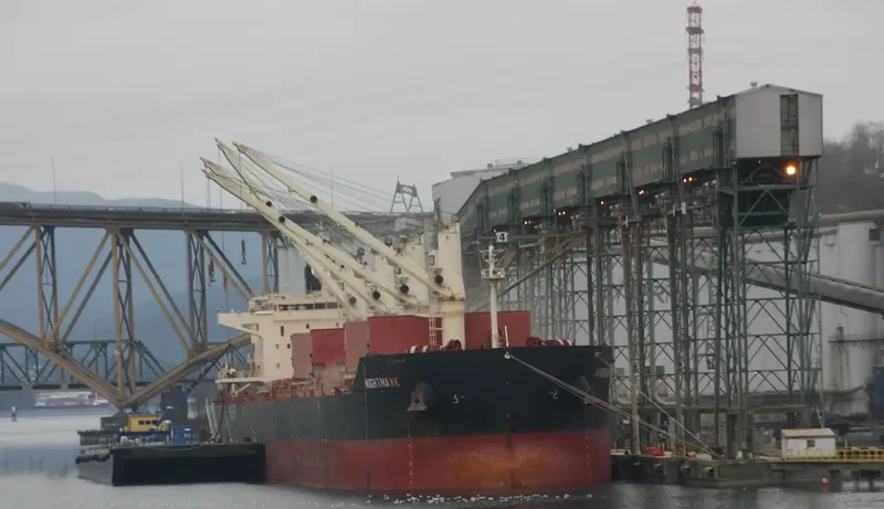 NIGHTHAWK Bulk Carrier IMO 9441362 photo 7