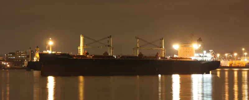 NIGHTHAWK Bulk Carrier IMO 9441362 photo 8