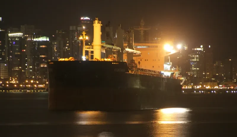 NIGHTHAWK Bulk Carrier IMO 9441362 photo 9