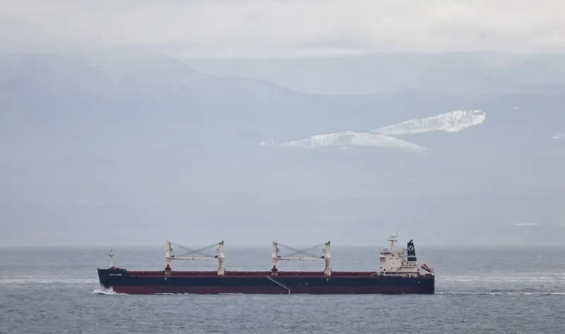 NIGHTHAWK Bulk Carrier IMO 9441362 photo 10